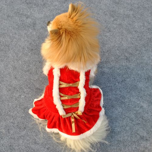 Hundebekleidung Klassik Rotes Kleid Weihnachten New Year