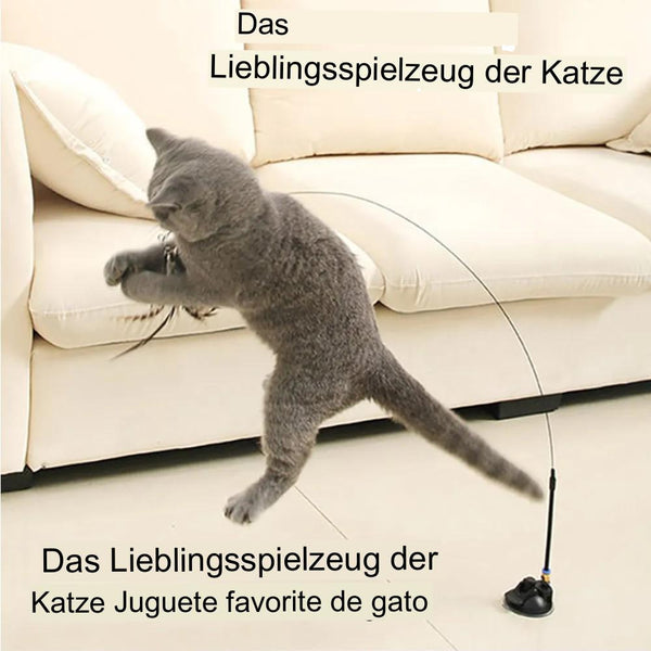 Abnehmbares Katzenspielzeug mit Saugnapf