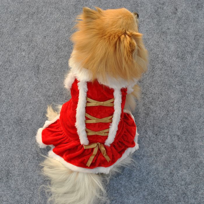 Hundebekleidung Klassik Rotes Kleid Weihnachten New Year