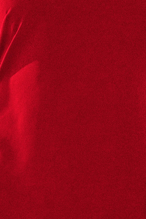 Damen Swing-Kleid Ausgestellt, Schleifen-Ärmel & Taillenband von Numoco rot Stoff Detail